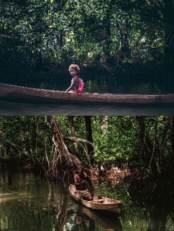 Avatar Mangrove